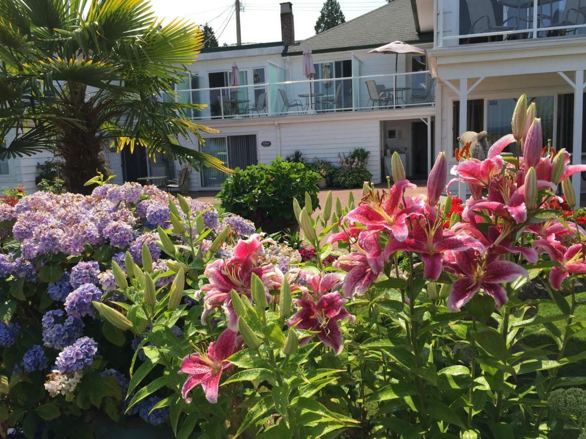 Hotel Buena Vista By The Sea Qualicum Beach Exterior foto